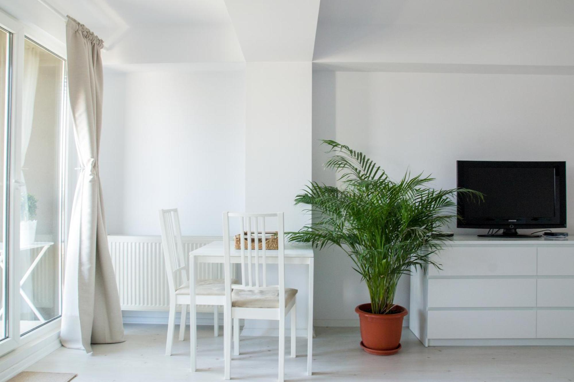 Airport Residence - 5 Mins From Airport Otopeni Exteriör bild